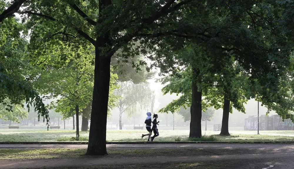 Mit individuellem Lauftraining abnehmen, die Gesundheit fördern und sportliche Ziele erreichen.